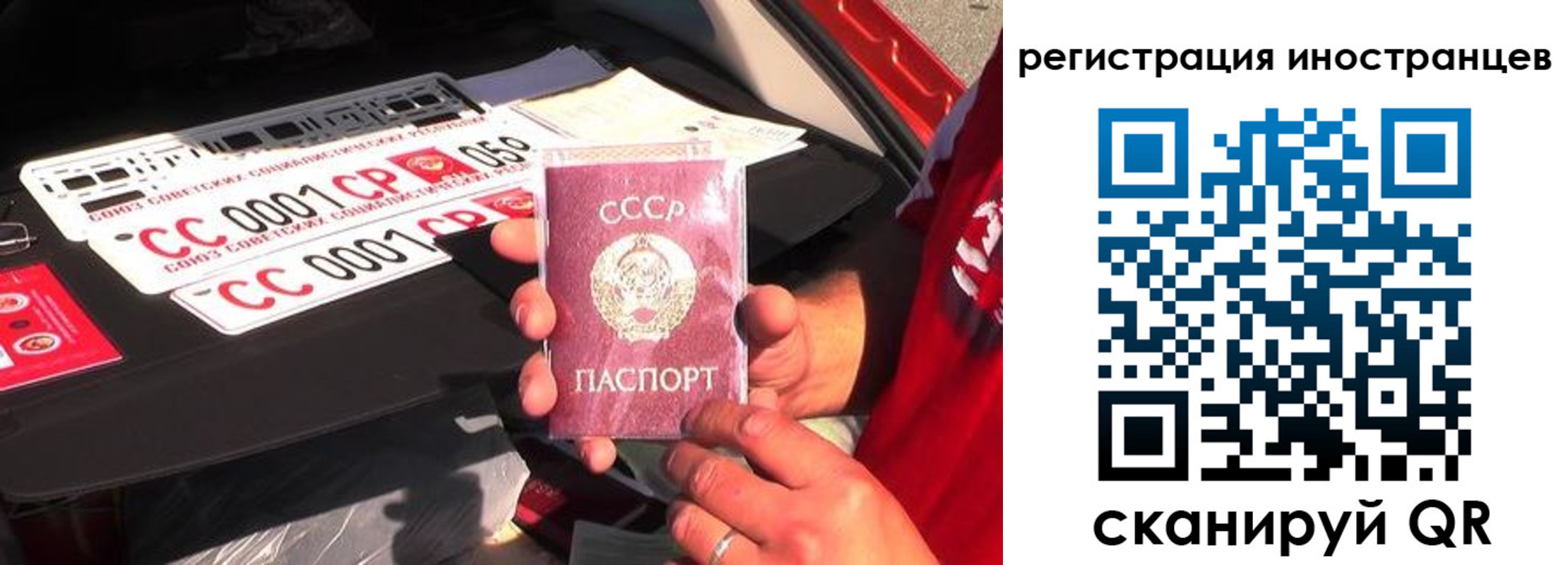 прописка гарантия в Колпашево